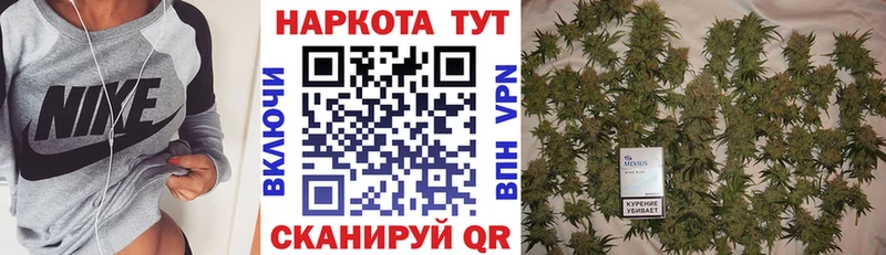 Продажа наркотиков Шумерля Псилоцибиновые грибы  A PVP  Мефедрон  Каннабис  КОКАИН  Гашиш  АМФЕТАМИН 