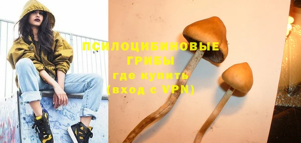 трава Балахна