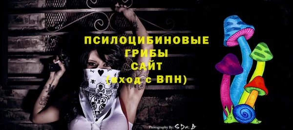 гашик Протвино