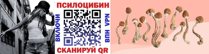 Галлюциногенные грибы Psilocybe  продажа наркотиков  Шумерля 